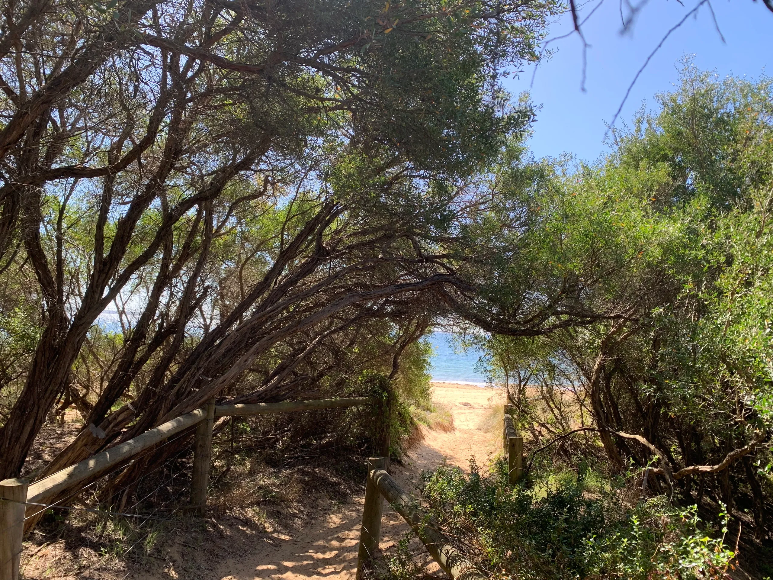 Beach Park Tourist Caravan Park - Image 6