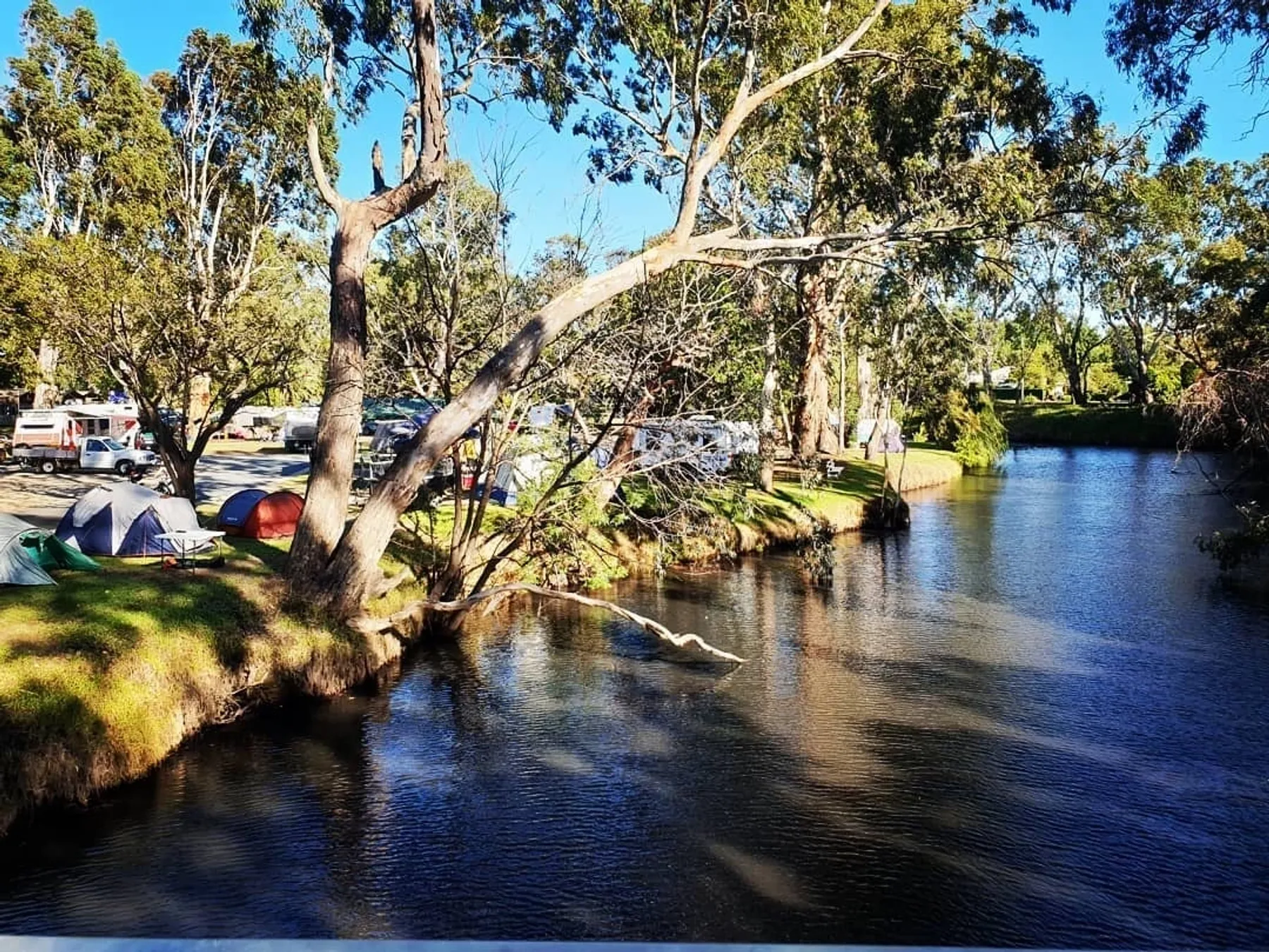 Euroa Caravan Park - 2
