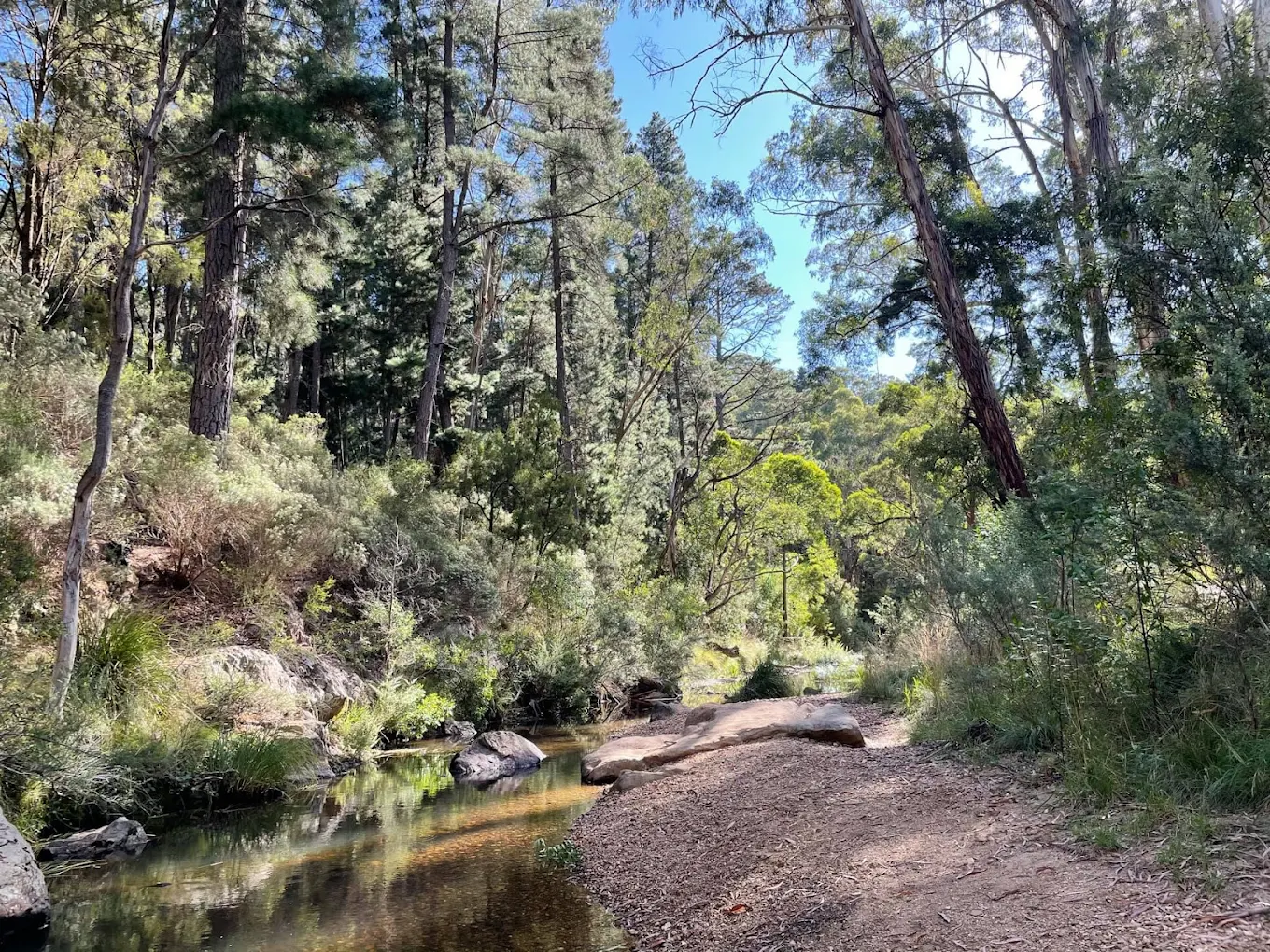 Blackwood Mineral Springs Caravan Park - 1