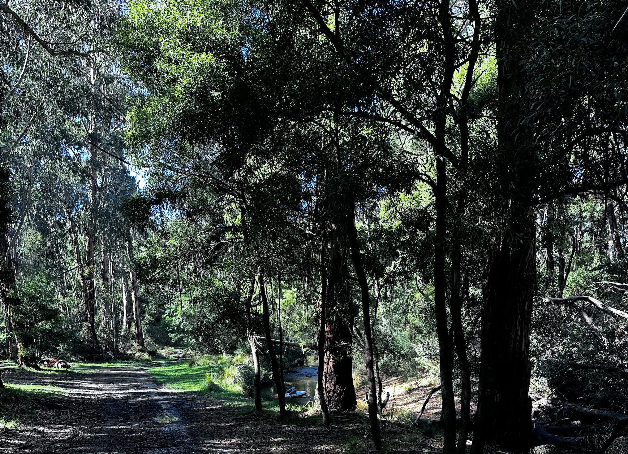 Blackwood Mineral Springs Caravan Park - 4