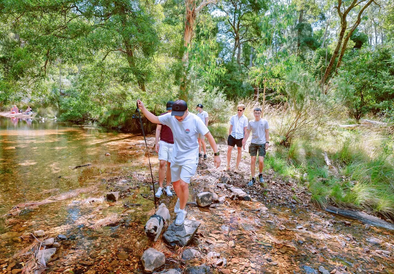 Blackwood Mineral Springs Caravan Park - 2