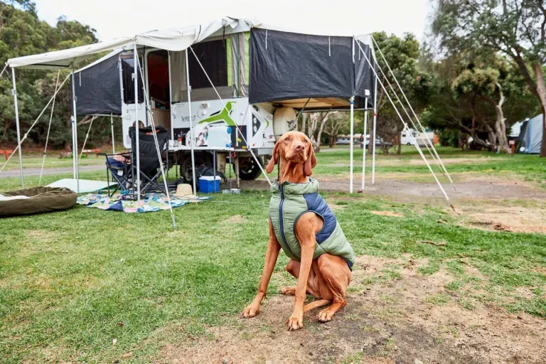 Kennett River Family Caravan Park - 3