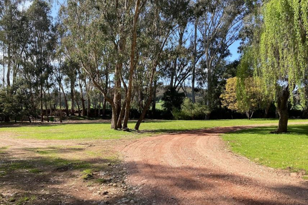 King River Caravan Park - 1