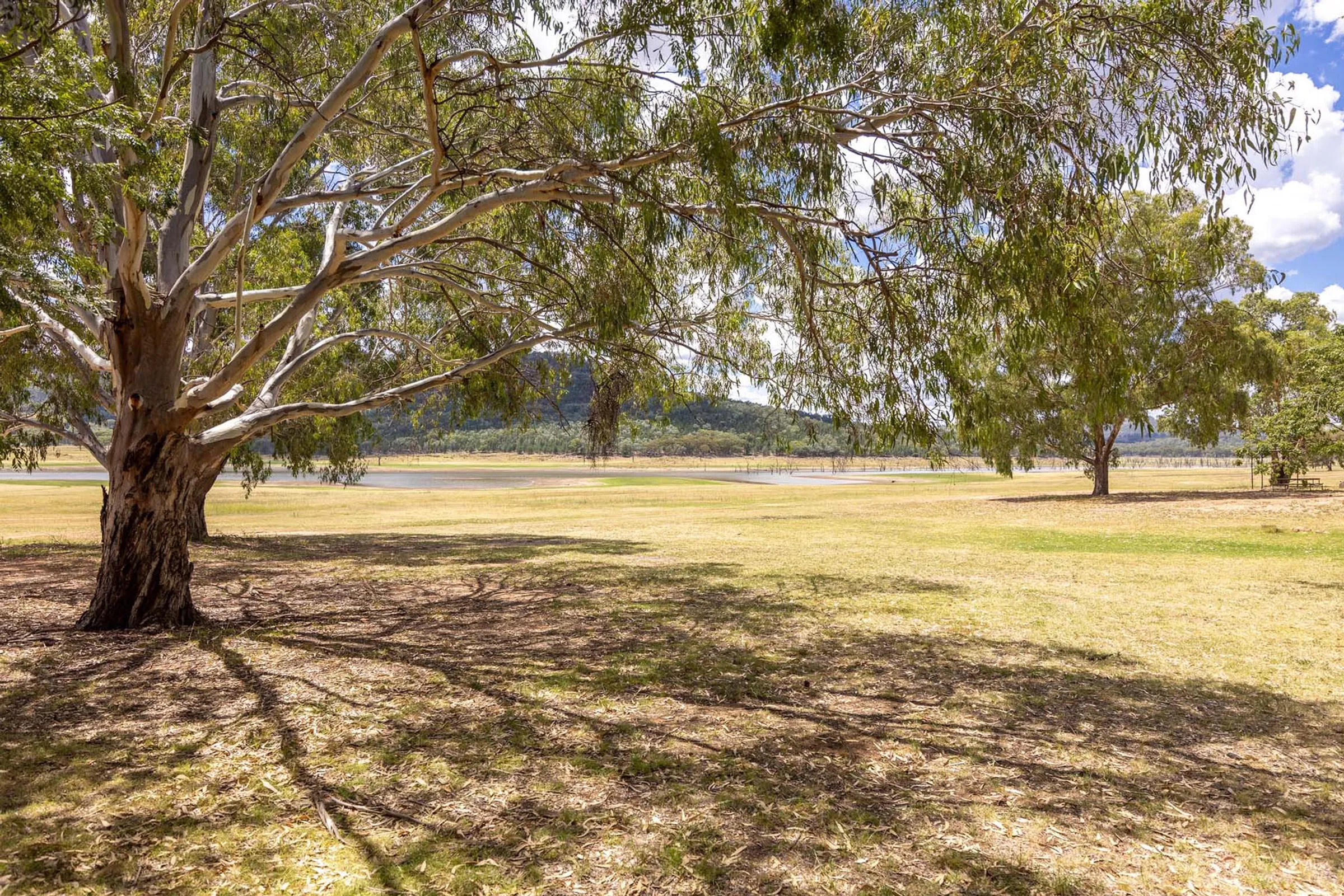 Reflections Holiday Parks - Cudgegong River Holiday Park - 2