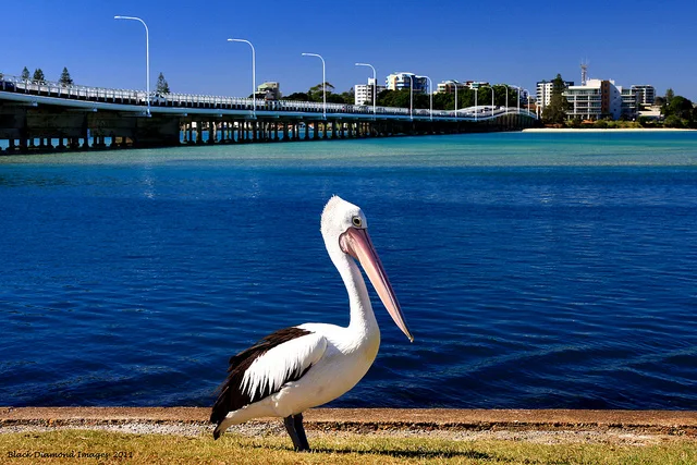 Twin Dolphins Holiday Park
