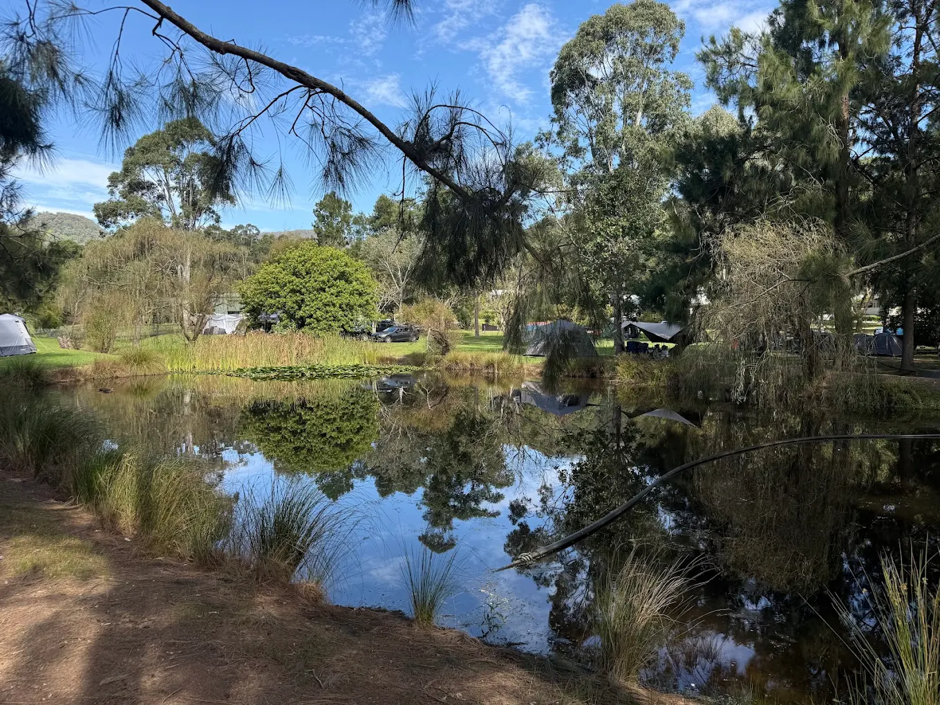 Kangaroo Valley Glenmack Park