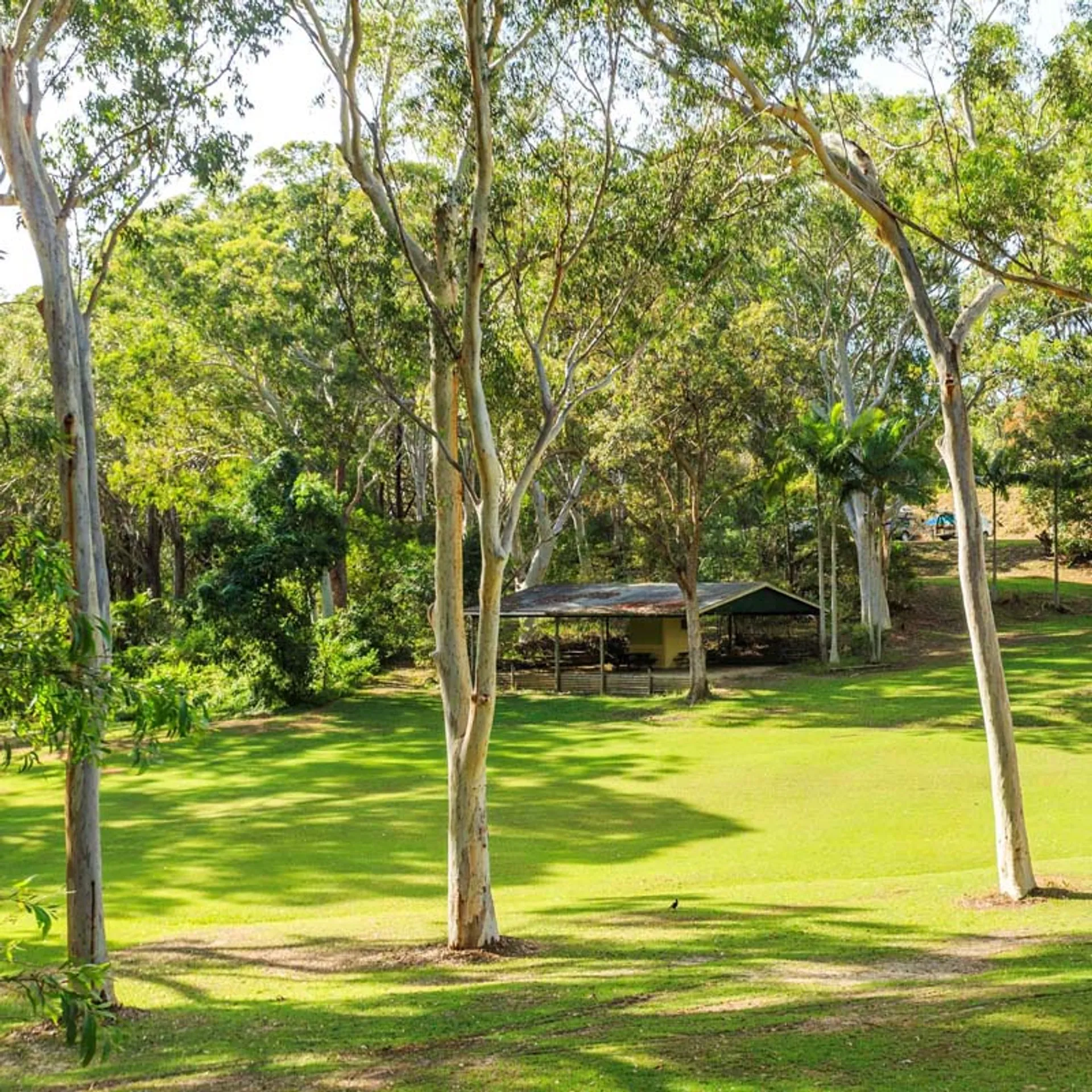 Reflections Holiday Parks - Nambucca Heads Holiday Park - 2