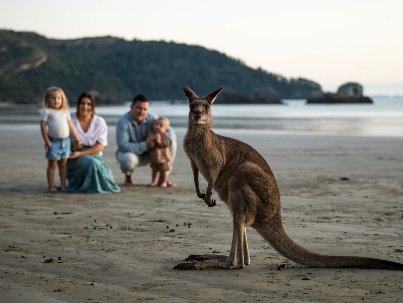 Cape Hillsborough Nature Tourist Park - 4