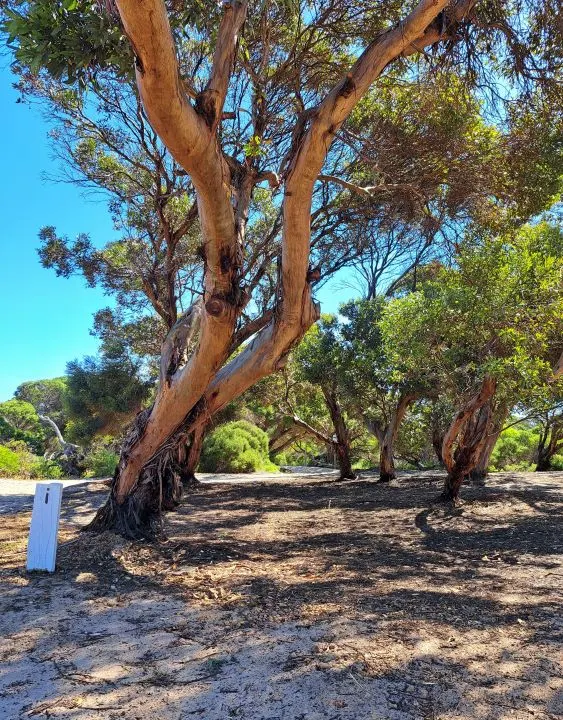 Hopetoun Beachside Caravan Park - 3