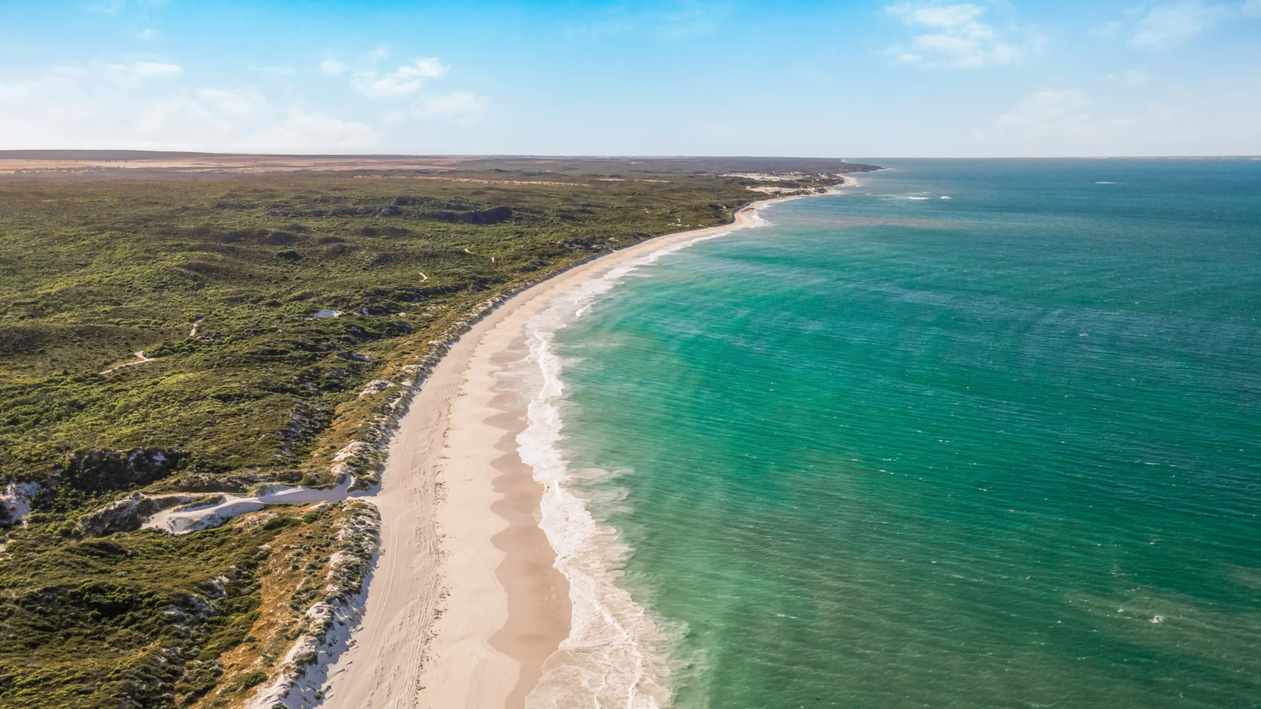 Tasman Holiday Parks - BIG4 Ledge Point - 5