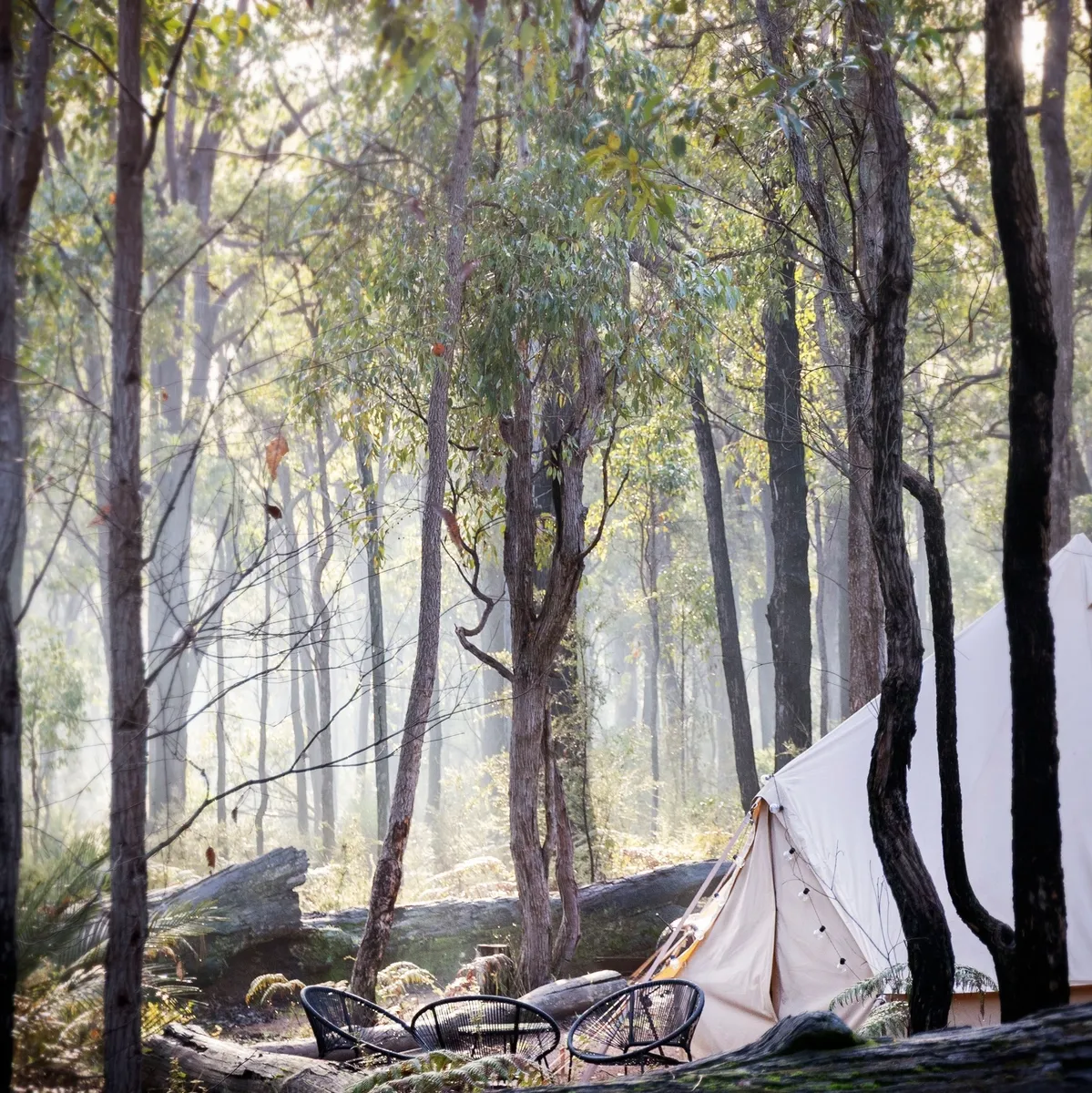 The Dwellingup Chalet and Caravan Park - 1