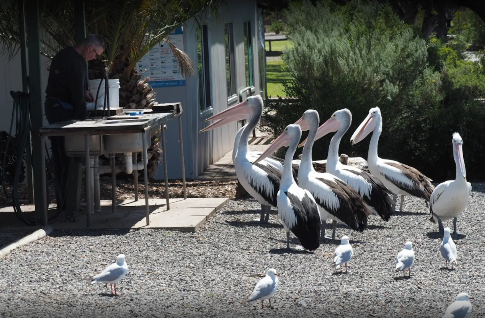 Tumby Bay Caravan Park - 2
