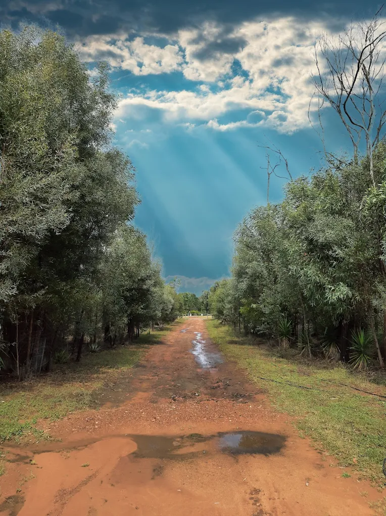 BushLights Caravan Park - 4