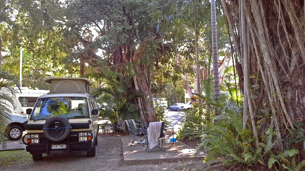 Tropic Breeze Caravan Park - 5