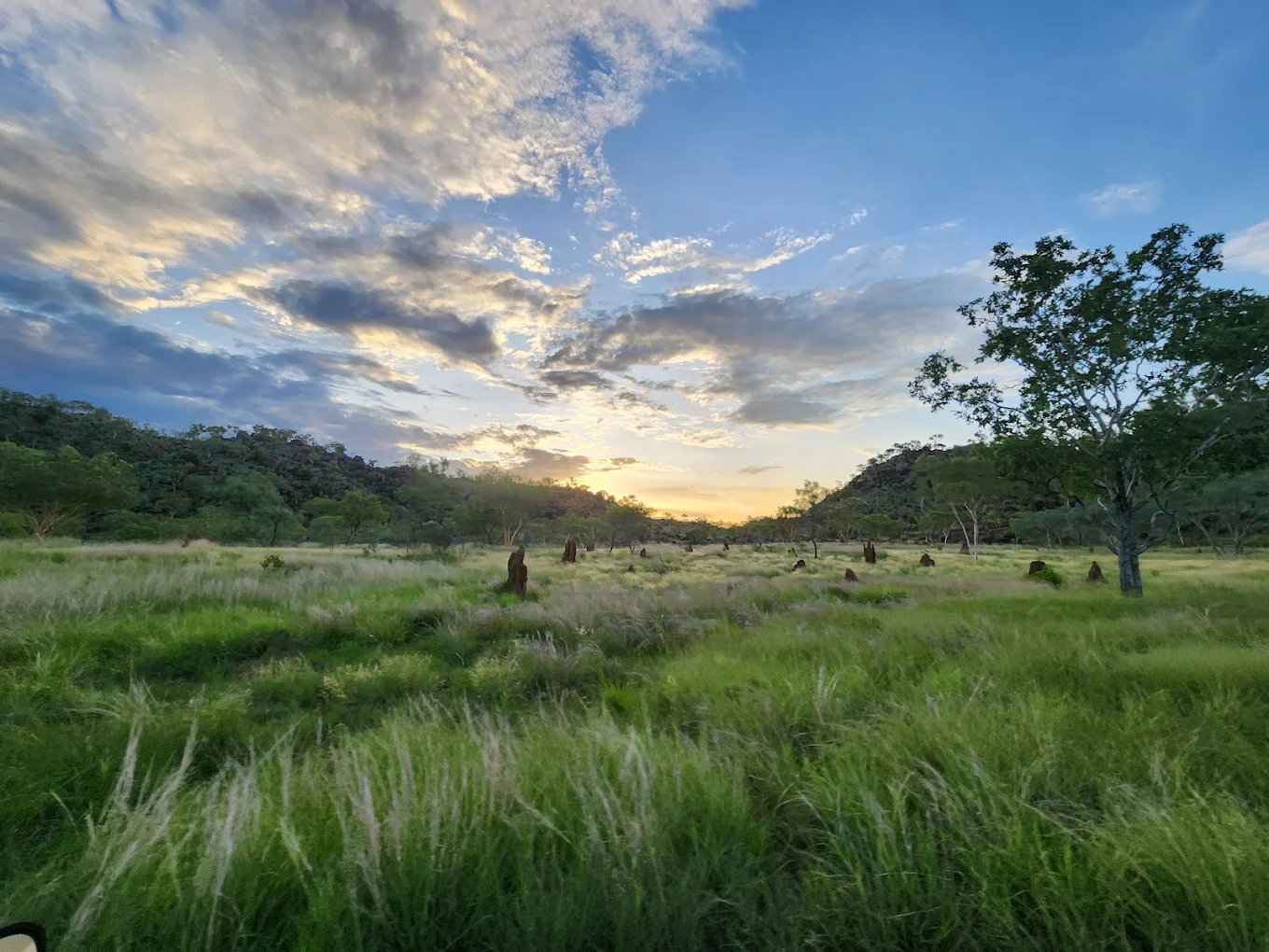Violet Valley Campground - Image 1