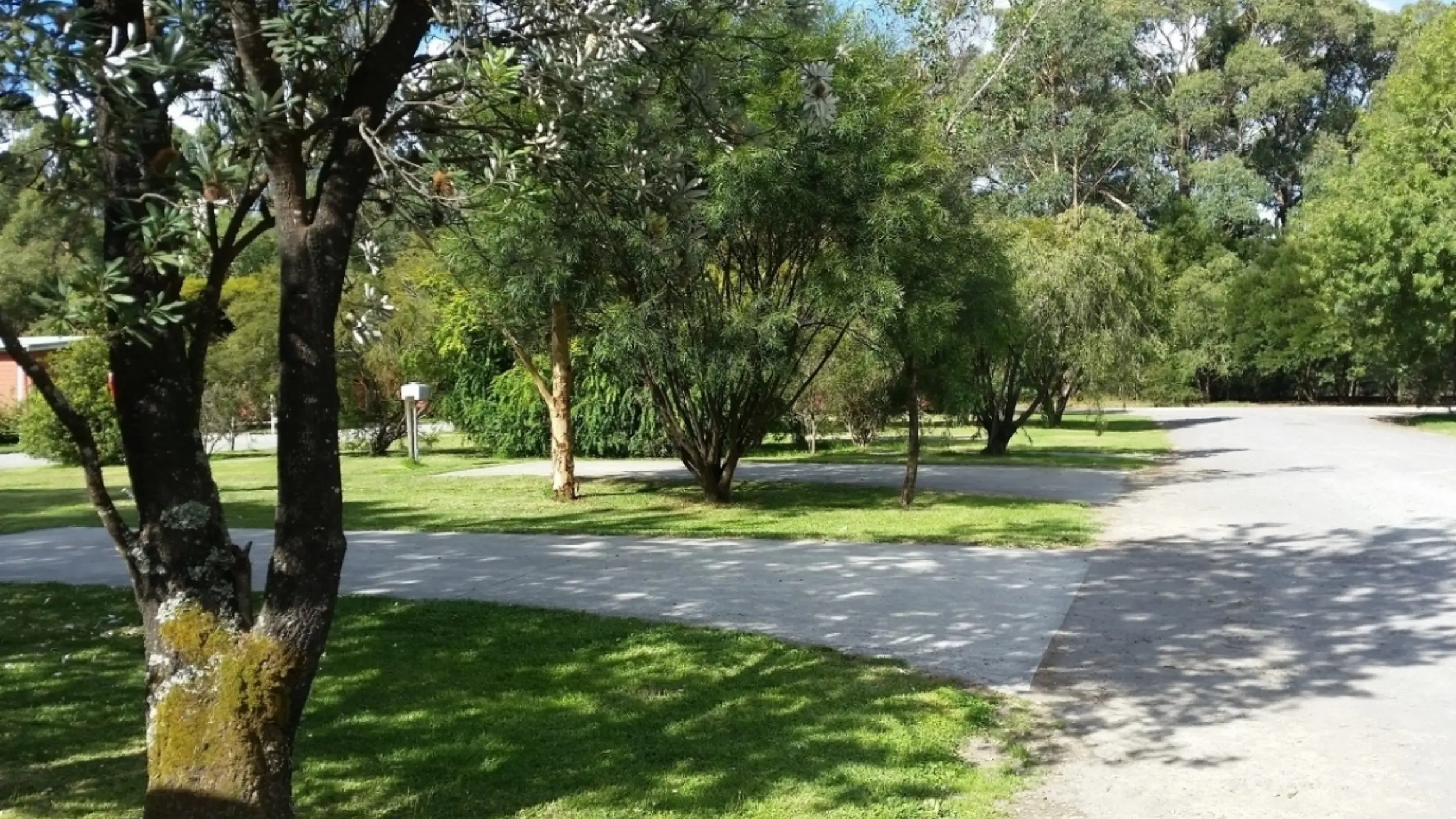 BIG4 Barham Holiday Park - 3