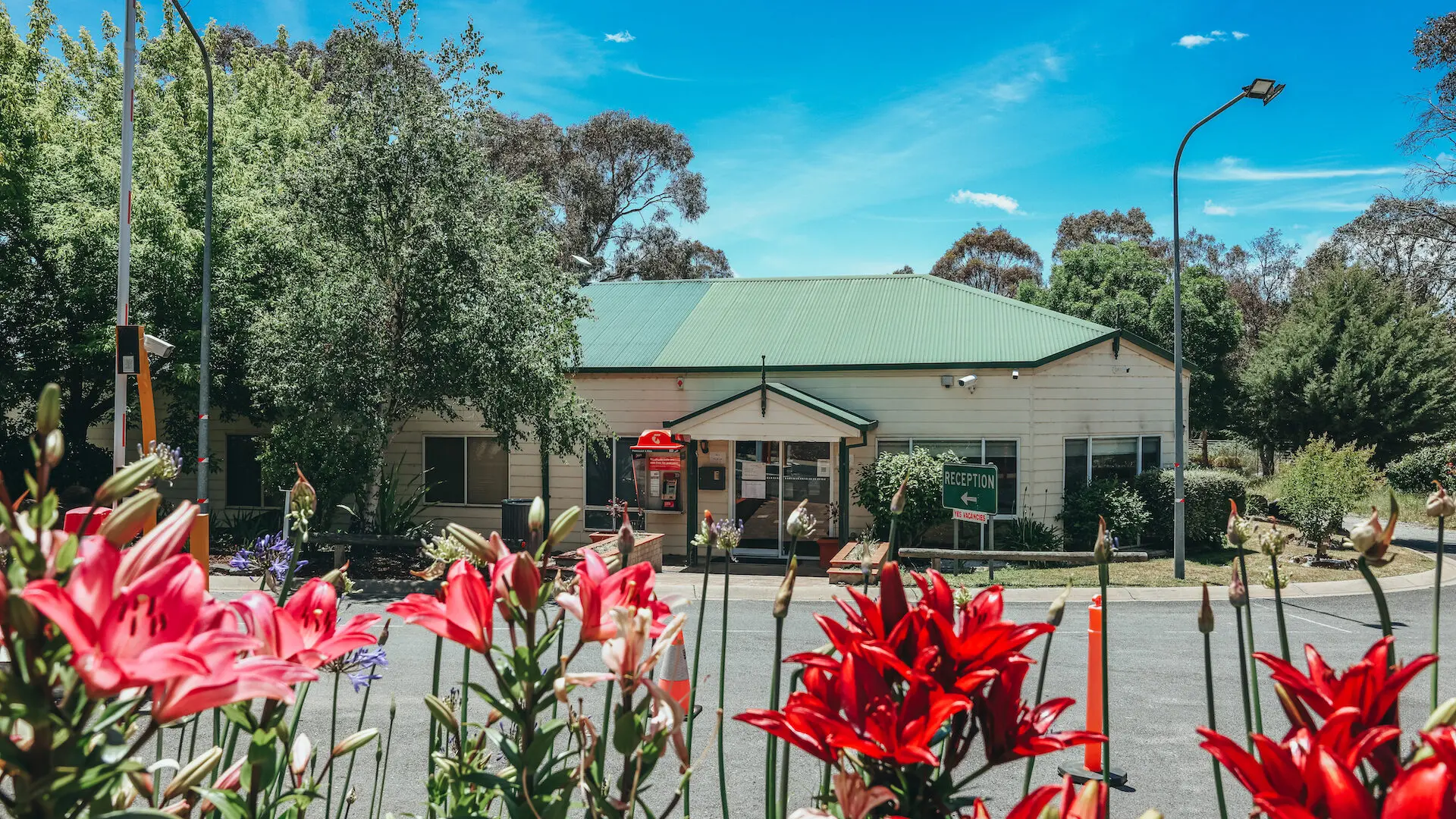 Eaglehawk Park - 1