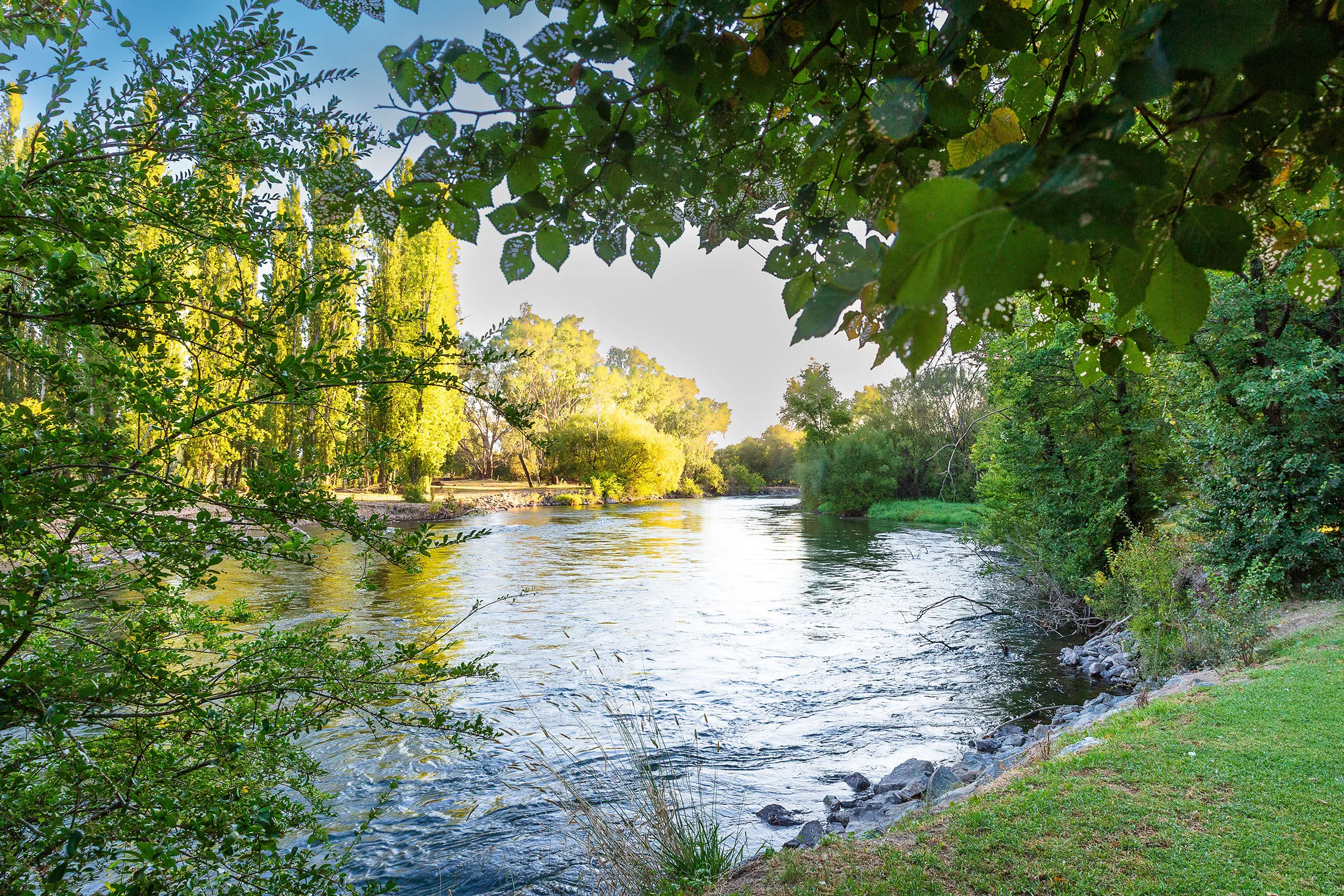 Reflections Holiday Parks - Tumut River Holiday Park - Image 1