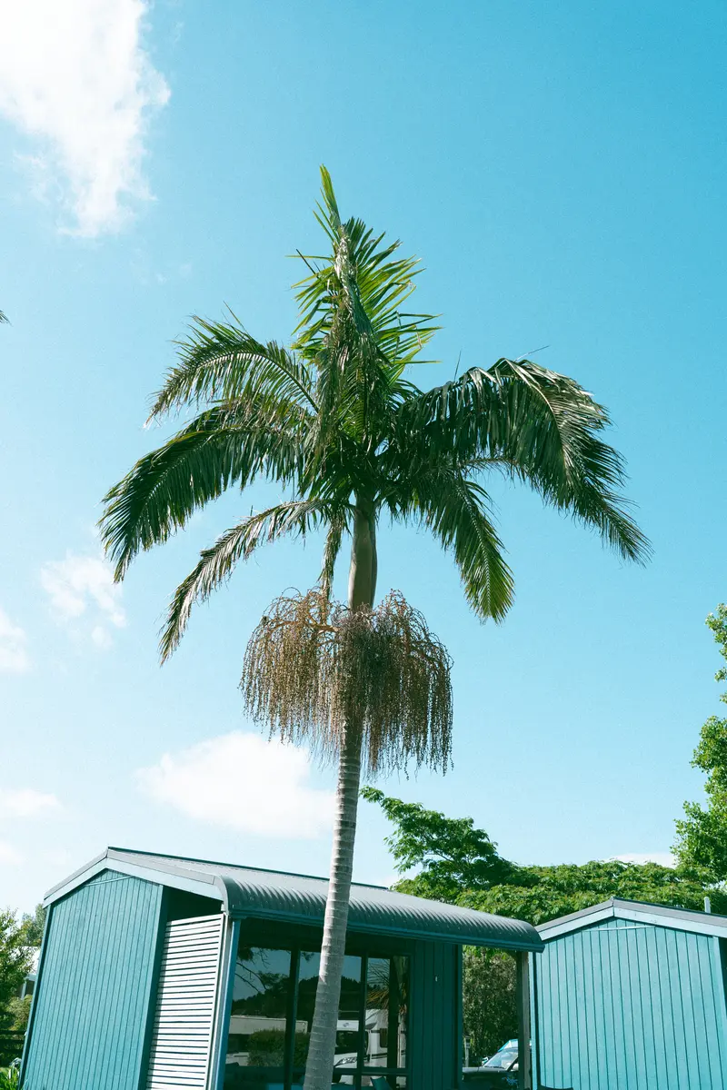 Tasman Holiday Parks - Coromandel - Image 6