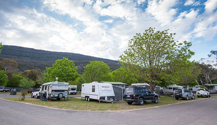 NRMA Halls Gap Holiday Park - 3